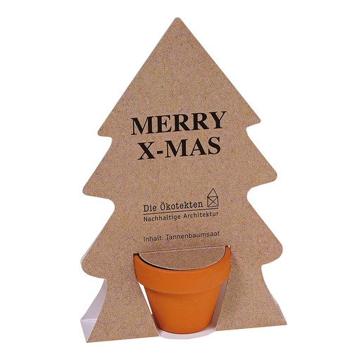 Tiny Tree - Assembly Kit - Norway spruce Tiny Tree - Assembly Kit - Norway spruce