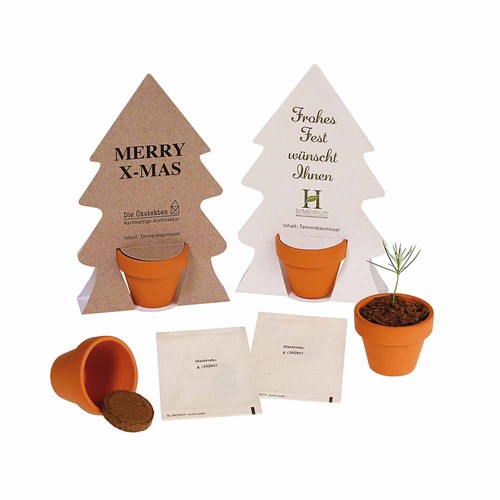 Tiny Tree - Assembly Kit - Norway spruce Tiny Tree - Assembly Kit - Norway spruce