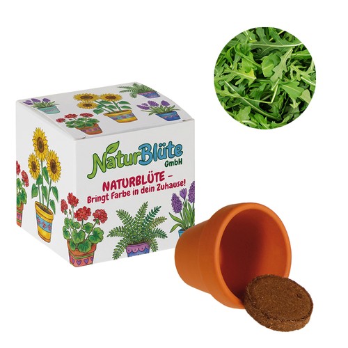 Promotional Seed Cube (white paper) - Arugula