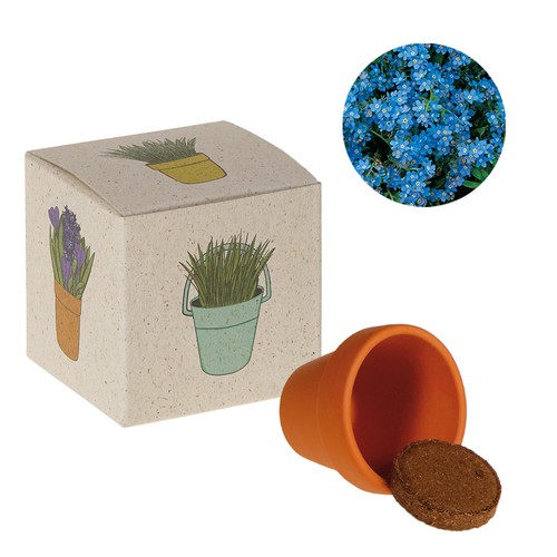 Promotional Seed Cube (grass paper) - Forget-me-not