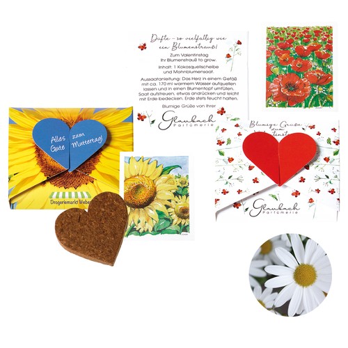 A Heart for… Seed Card - Oxeye daisy