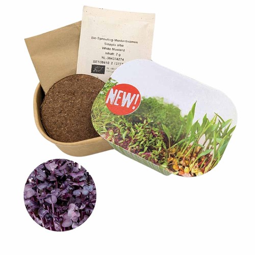 Microgreen Seed Planting Kit - Radies sango