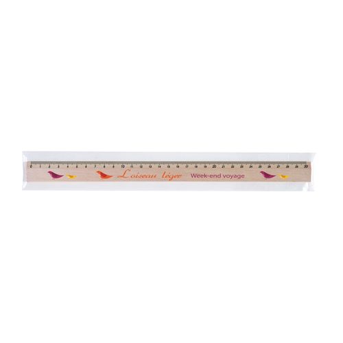 REGLE ECO 30 cm SACHET polypro - 2