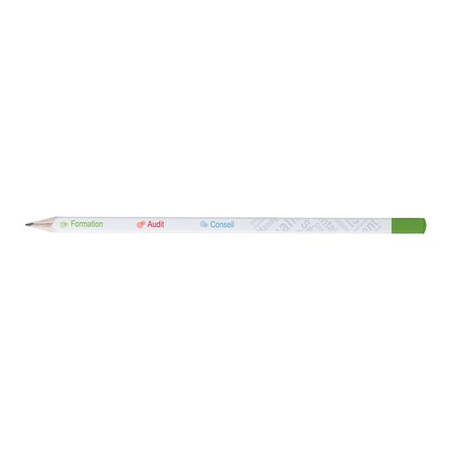 ECO carré 17,6 PANTO T Trempée - 11