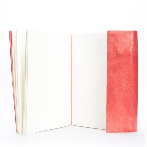 Magnetic - Carnet - 8