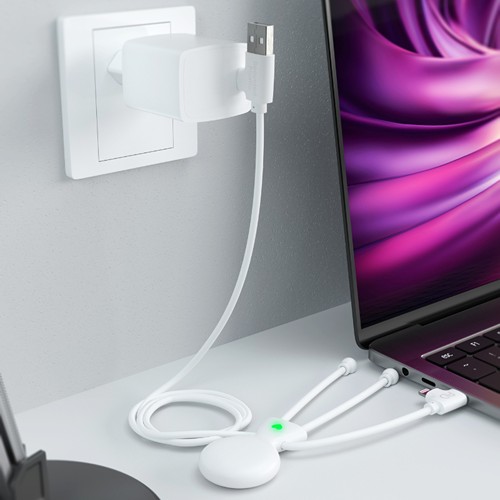 Mr Bio Fast pack blanc - 5