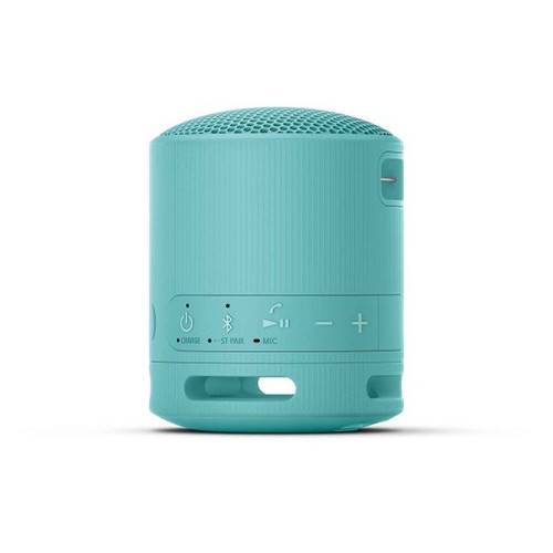Sony Bluetooth Speaker SRS-XB100 - Noir