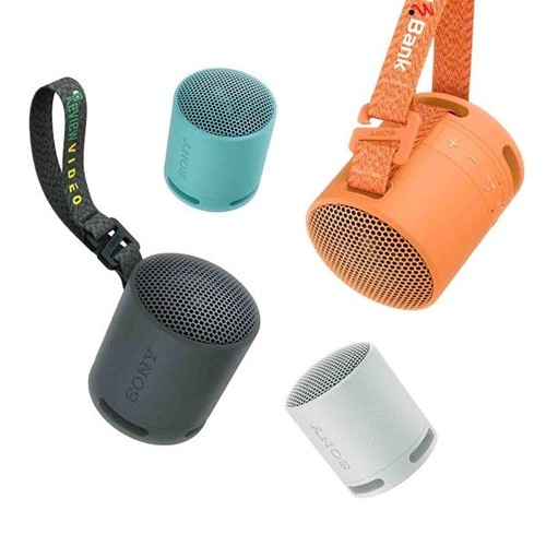 Sony Bluetooth Speaker SRS-XB100 - Noir