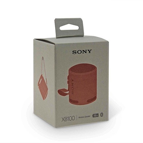Sony Bluetooth Speaker SRS-XB100 - Noir
