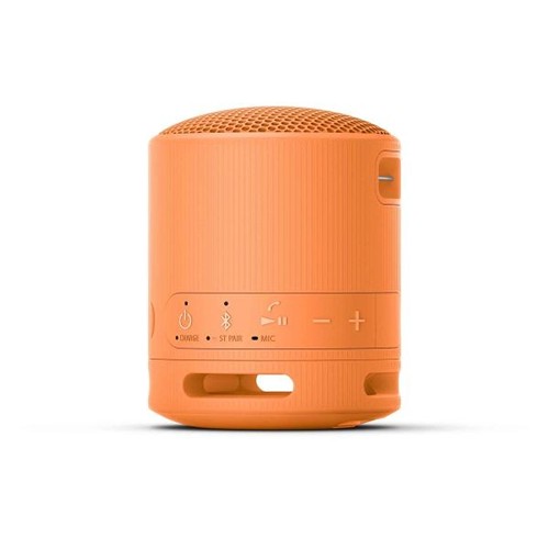 Sony Bluetooth Speaker SRS-XB100 - Noir