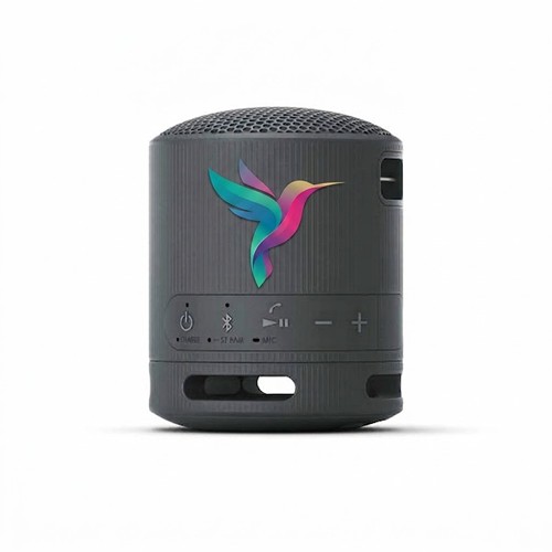 Sony Bluetooth Speaker SRS-XB100 - Noir
