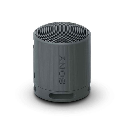 Sony Bluetooth Speaker SRS-XB100 - Noir