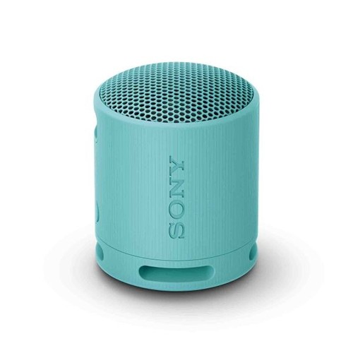 Sony Bluetooth Speaker SRS-XB100 - Noir