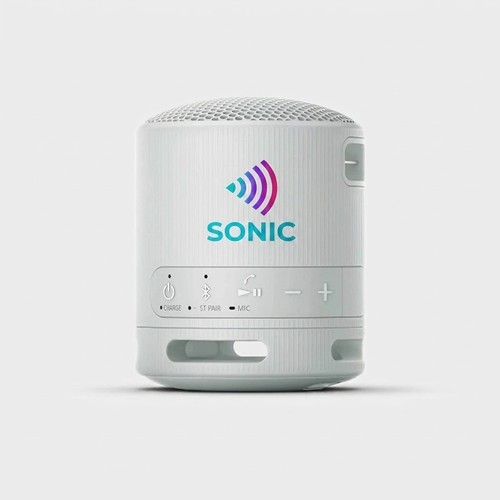 Sony Bluetooth Speaker SRS-XB100 - Noir