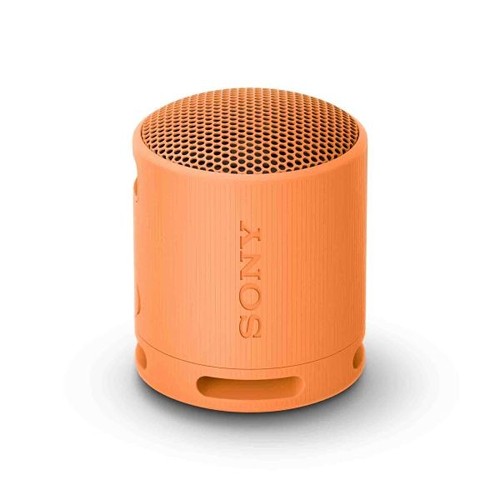 Sony Bluetooth Speaker SRS-XB100 - Noir