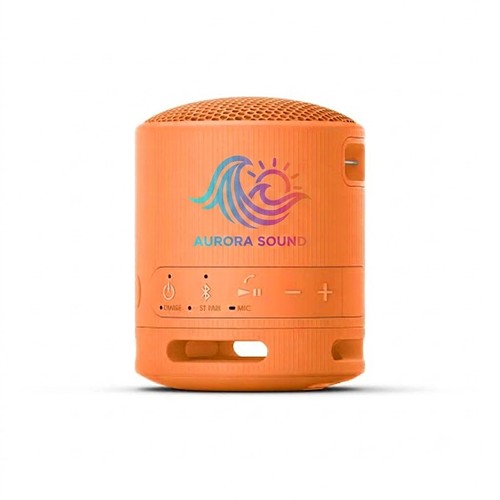 Sony Bluetooth Speaker SRS-XB100 - Noir