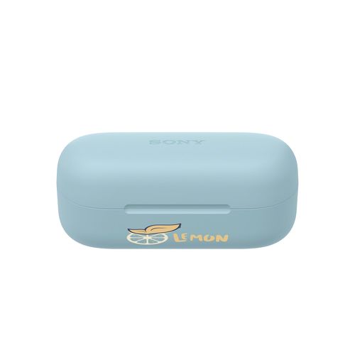 Sony WF-C510 Wireless Earbud (Noir, Impression en couleur)