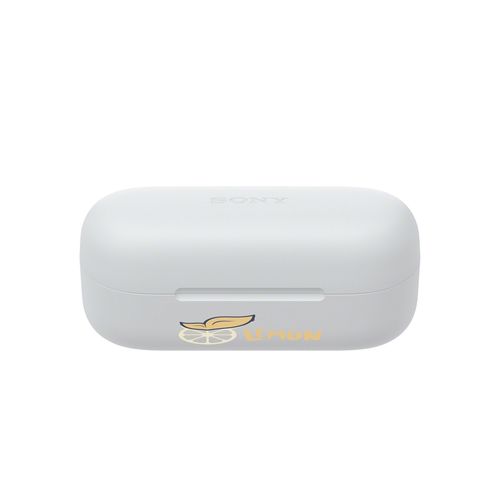 Sony WF-C510 Wireless Earbud (Noir, Impression en couleur)