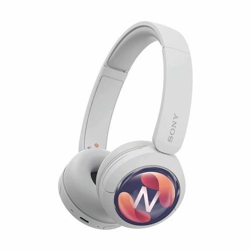 Sony Headphone WH-CH 520 (Noir, Doming en couleur à droite)