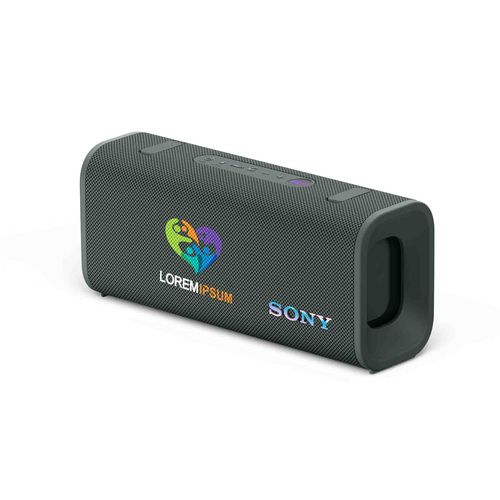 Sony Wireless Portable Speaker ULT FIELD 3 (Noir, Impression en couleur)