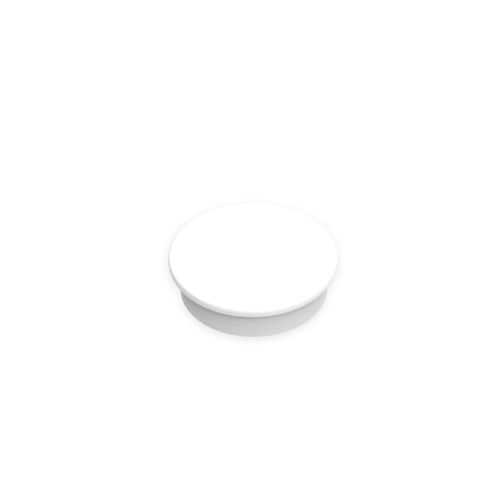 Whiteboard Magnet