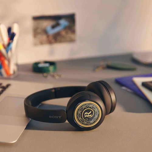 Sony Headphone WH-CH 520 - 3