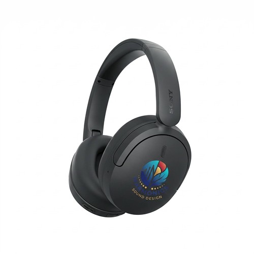 Sony WH-CH730N Noise Cancelling Wireless Headphones - Noir