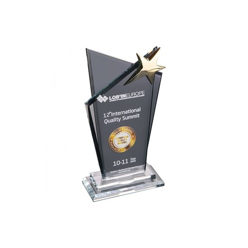 Crystal Award Crystal Award