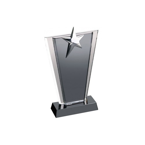 Crystal Award Crystal Award