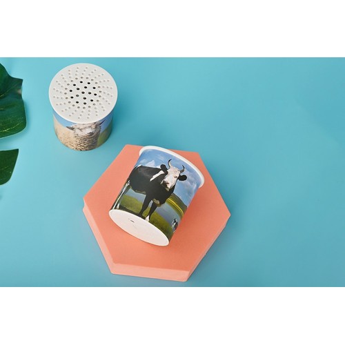 Moo Sound Box Moo Sound Box