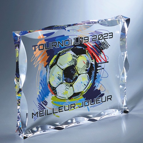 Trophée acrylique personnalisable - 1