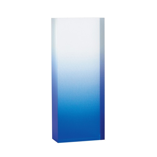 Trophée acrylique personnalisable - 1