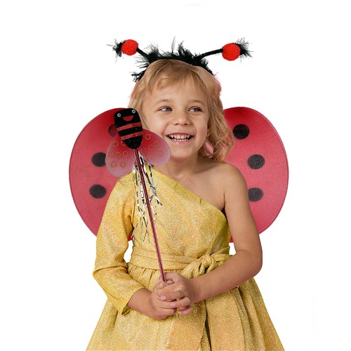 Set 3 pièces COCCINELLE Aile+tiare+baguette thumbnail 5