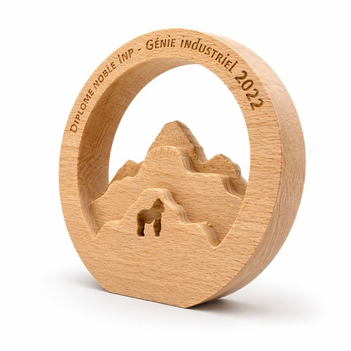 Trophée sur mesure en relief 🇫🇷 - 1