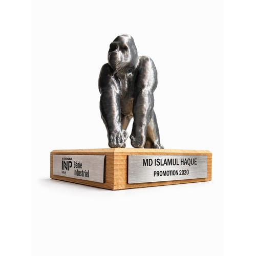 Trophée sur mesure Socle + Forme 🇫🇷 - 1