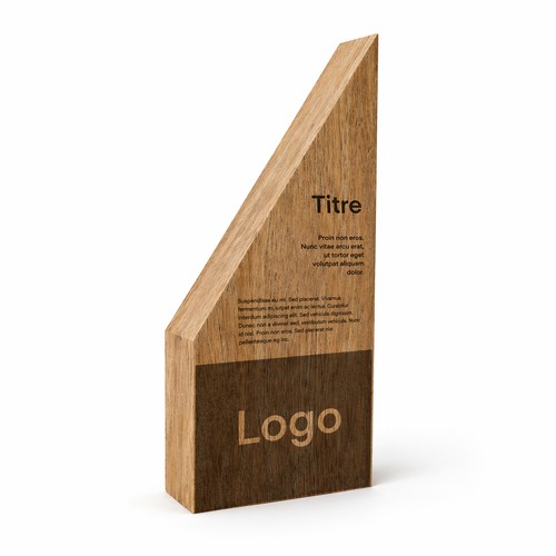 Trophée en bois sur mesure 🇫🇷 - 1