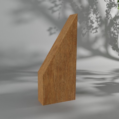 Trophée en bois sur mesure Made in France 🇫🇷 - 2