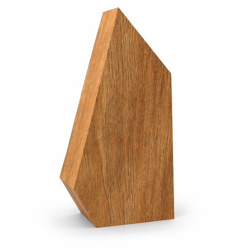 Trophée en bois sur mesure 🇫🇷 - 2