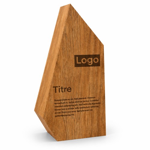 Trophée en bois sur mesure 🇫🇷 - 3