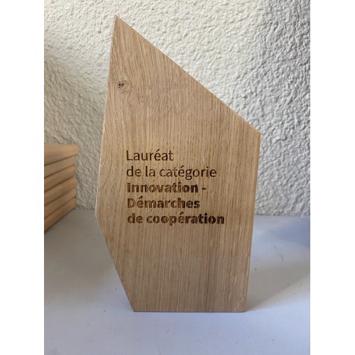 Trophée en bois sur mesure Made in France 🇫🇷 - 2