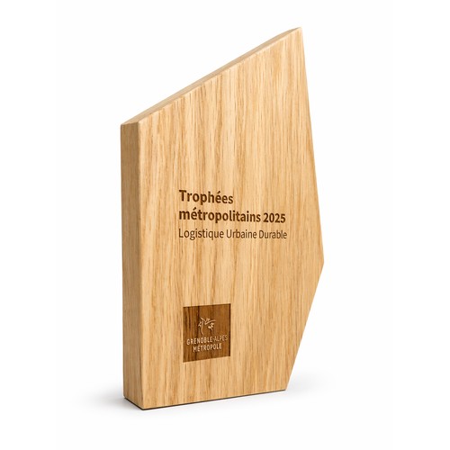 Trophée en bois sur mesure 🇫🇷 - 1