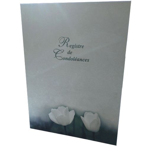 Registres cartonées EDEN - 1