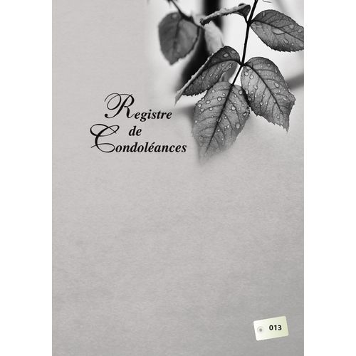 Boites à cartes grand modèle EDEN - 23