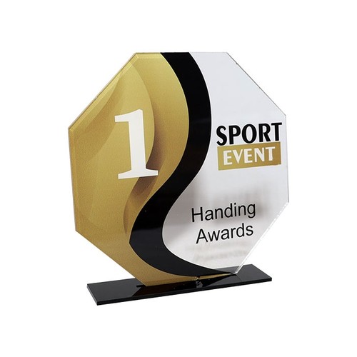 TROPHÉE ACRYLIQUE 3MM 20X16CM CADRES INCLUS thumbnail 4