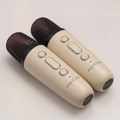 ENCEINTE BLUETOOTH 5W AVEC KARAOKÉ + 2 MICROS SANS FIL - 2