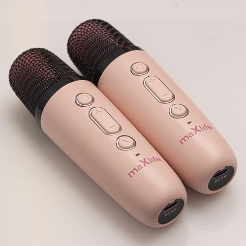 ENCEINTE BLUETOOTH  5W AVEC KARAOKÉ + 2 MICROS SANS FIL - 2