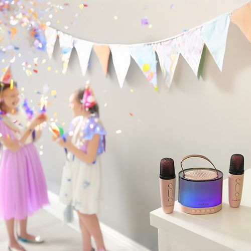 ENCEINTE BLUETOOTH  5W AVEC KARAOKÉ + 2 MICROS SANS FIL - 5