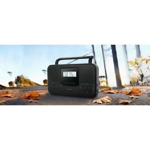Radio stéréo portable PLL à 2 bandes - 1