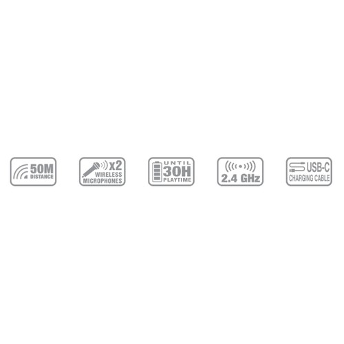 Pack de 2 Microphones sans fil - 4