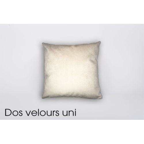 Le coussin en velours - 2
